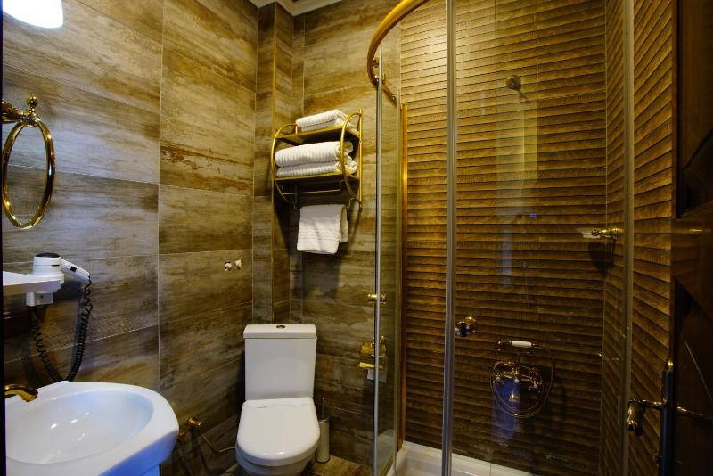 Single Room image 2