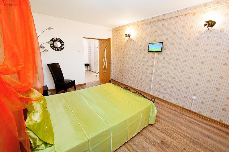 One-Bedroom Apartment image 3