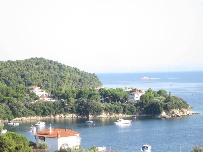 Kolios View - image 13
