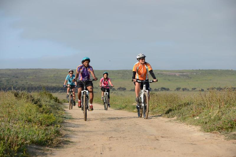 Langebaan Country Estate - image 13
