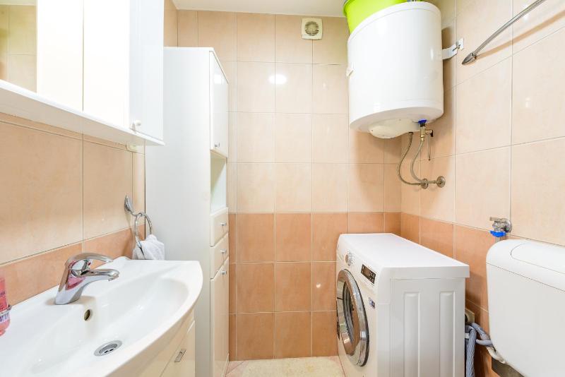 One-Bedroom Apartment image 4