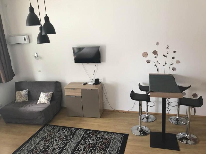 Studio Apartment image 3