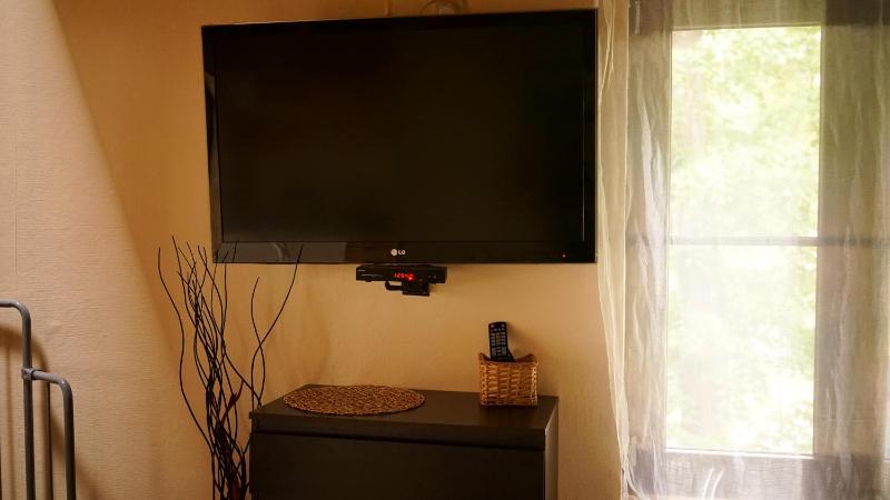 Apartament Antique - image 7