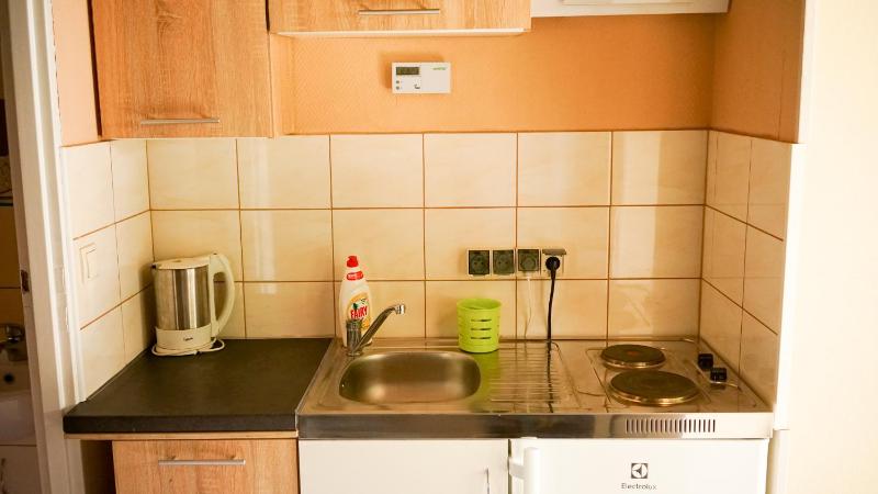 Apartament Antique - image 9