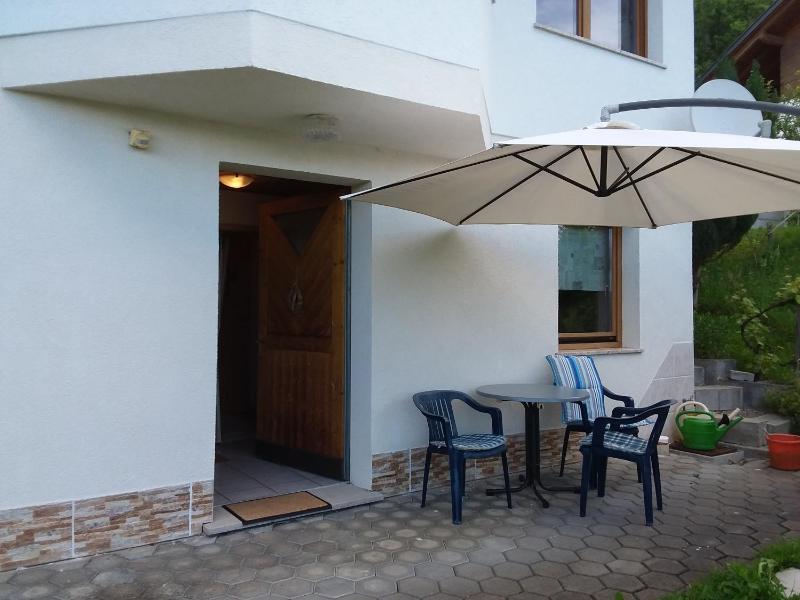 One-Bedroom Apartment with Terrace image 2