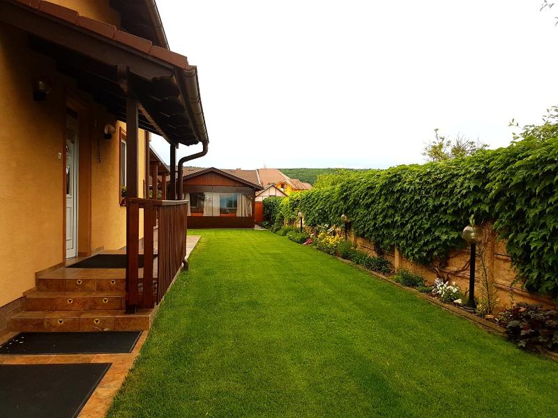 Apartment with Terrace image 3