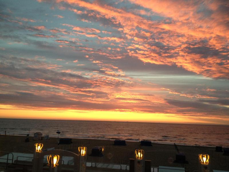 Beach Hotel - image 17