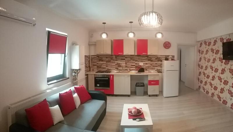 One-Bedroom Apartment image 4