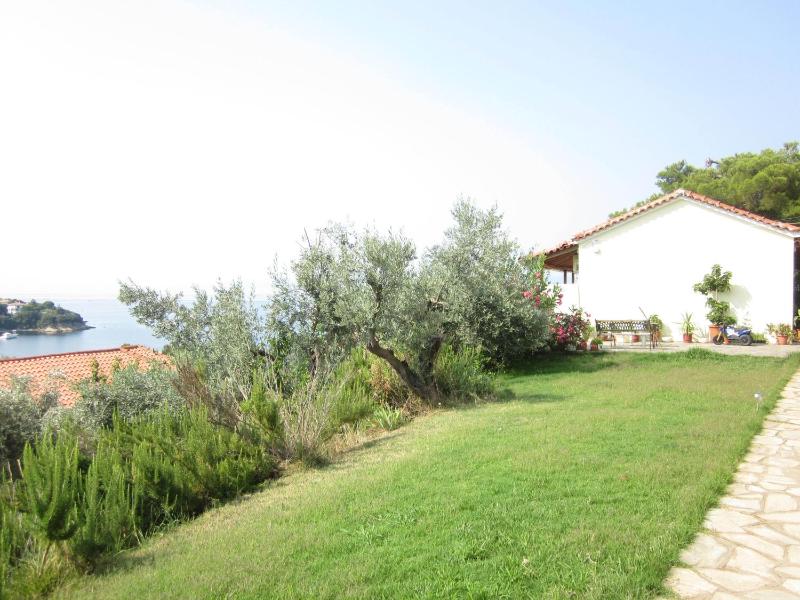 Kolios View - image 8