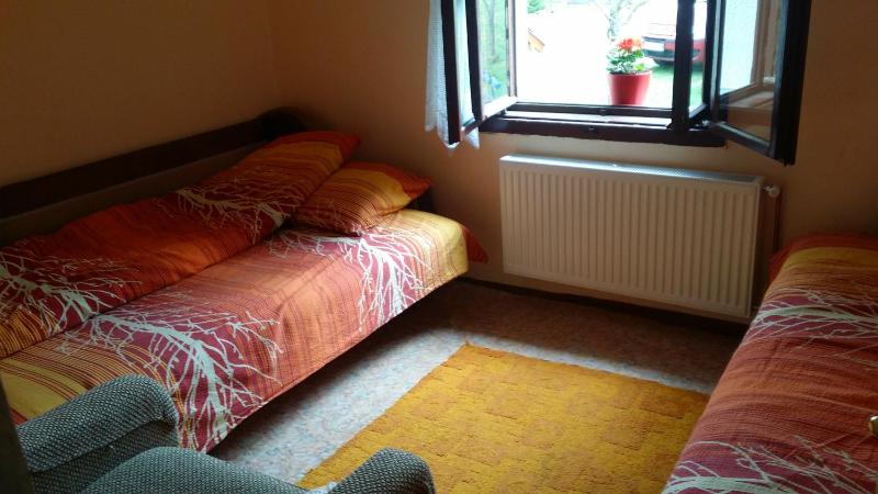 Deluxe Twin Room image 3