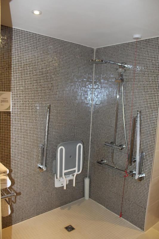 Double or Twin Room - Disability Access image 3