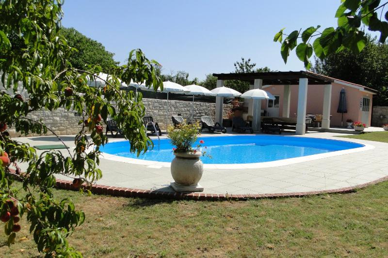 Apartment with Garden View image 4