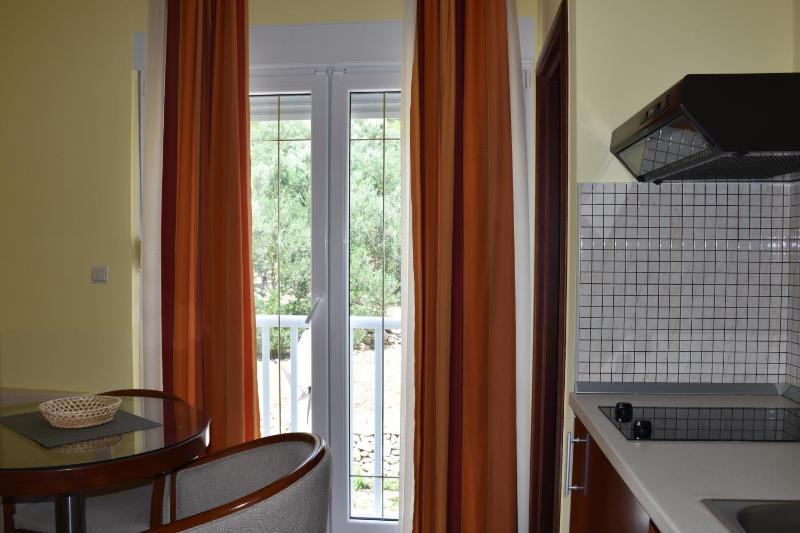 Studio Apartment with Mountain View image 4