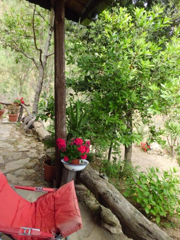 Casa Batia - image 6
