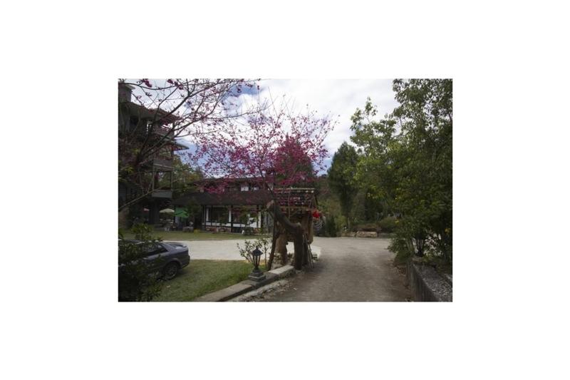 Jia Yuan Holiday - image 16