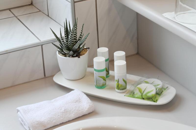 Large Single Room image 3