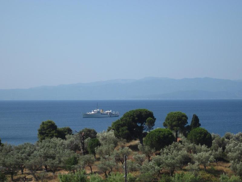 Kolios View - image 33