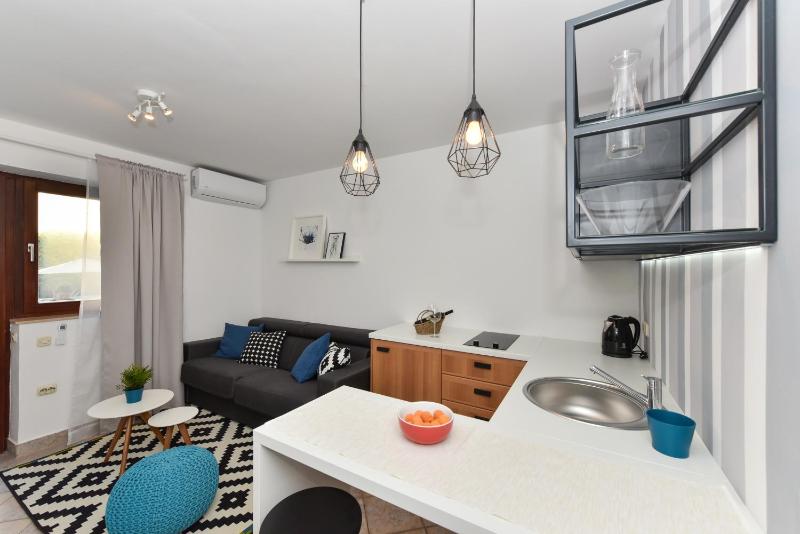 One-Bedroom Apartment image 4