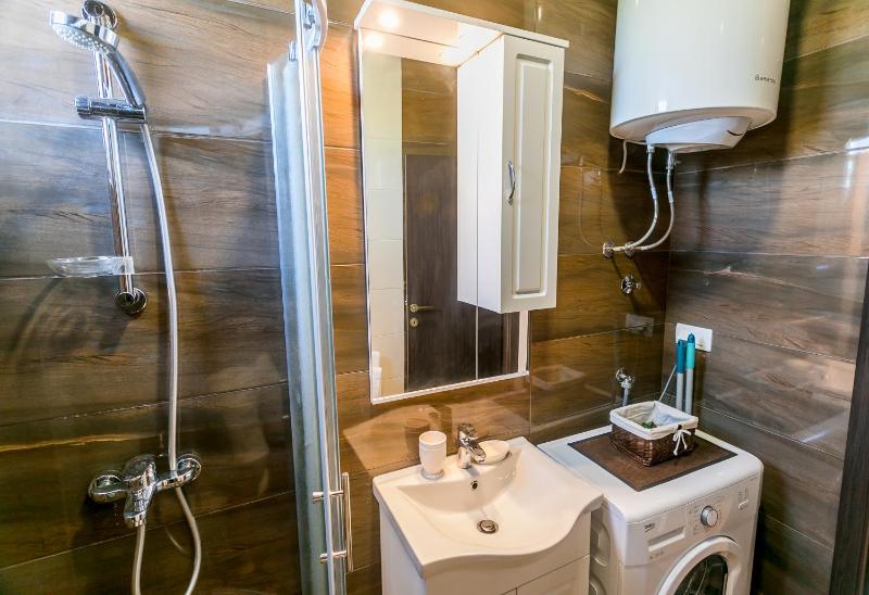 One-Bedroom Apartment image 3