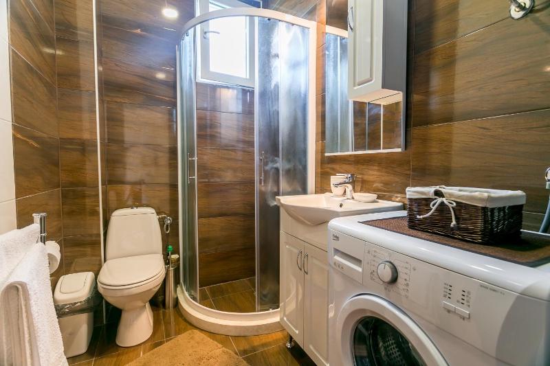 One-Bedroom Apartment image 4