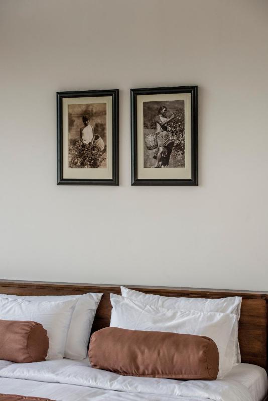 The Bungalow - image 45