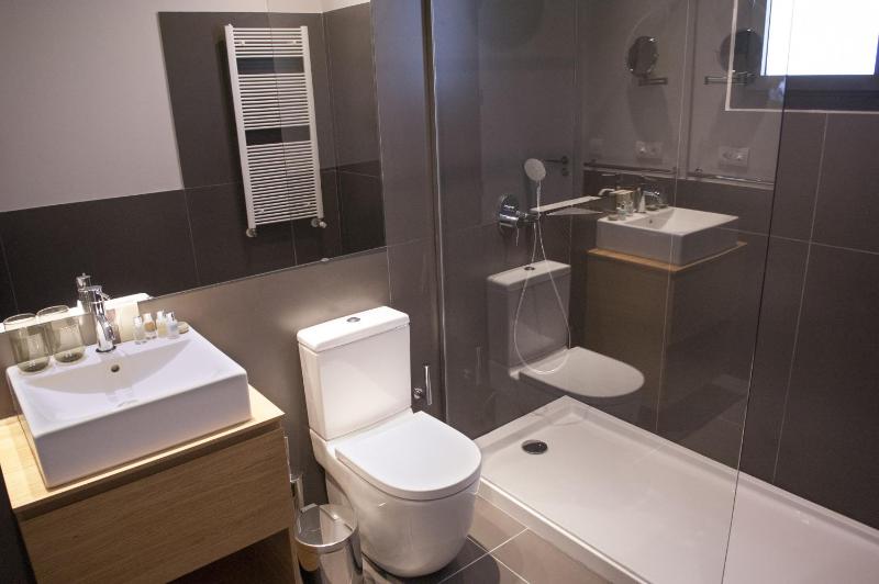 One-Bedroom Apartment - Penthouse  image 4