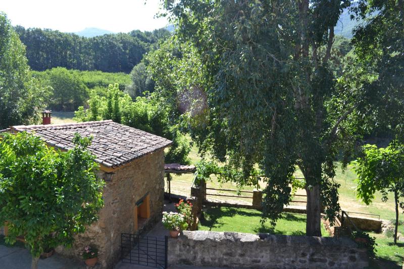 One-Bedroom Cottage (4 Adults) image 4