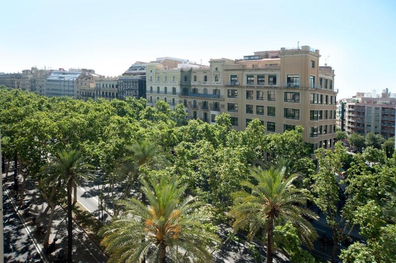 One-Bedroom Apartment image 3