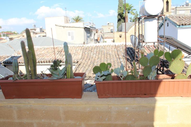 Pedieos Guest House - image 7