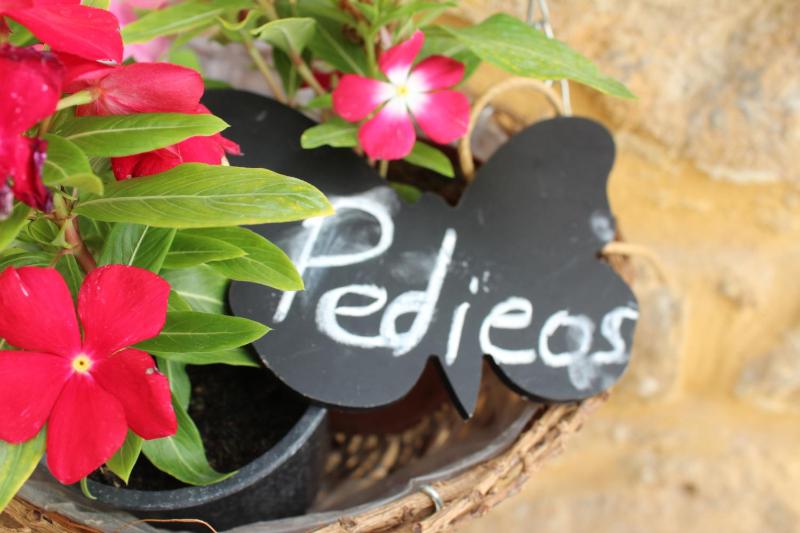 Pedieos Guest House - image 5