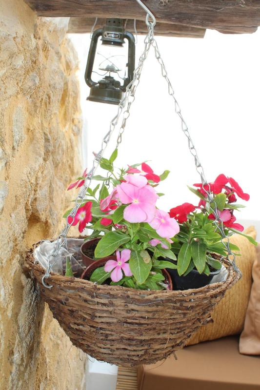 Pedieos Guest House - image 12