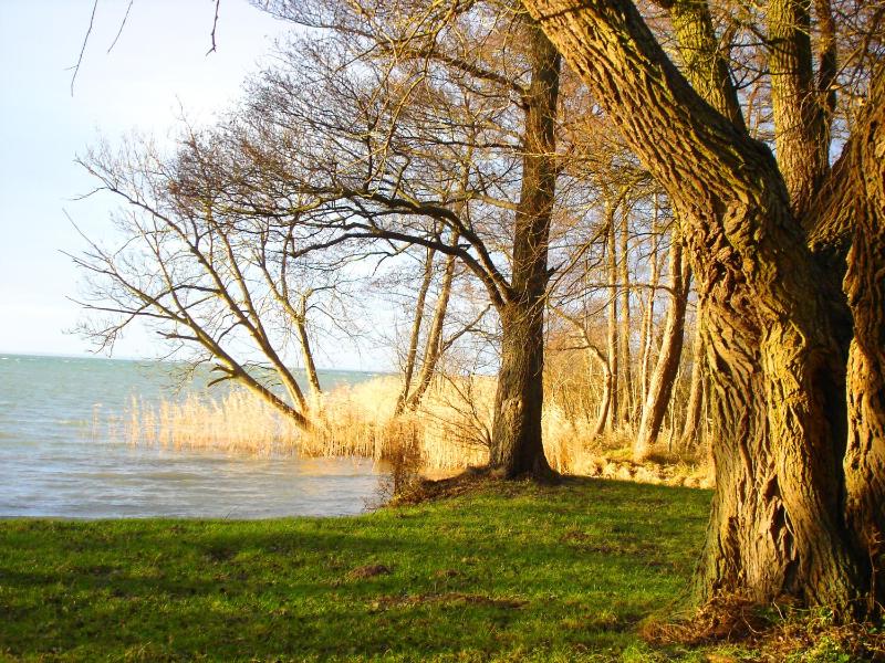 Hotel Müritz-Park - image 16