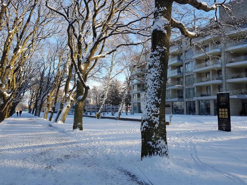 Apartament prywatny 329 w Diune Resort - image 13