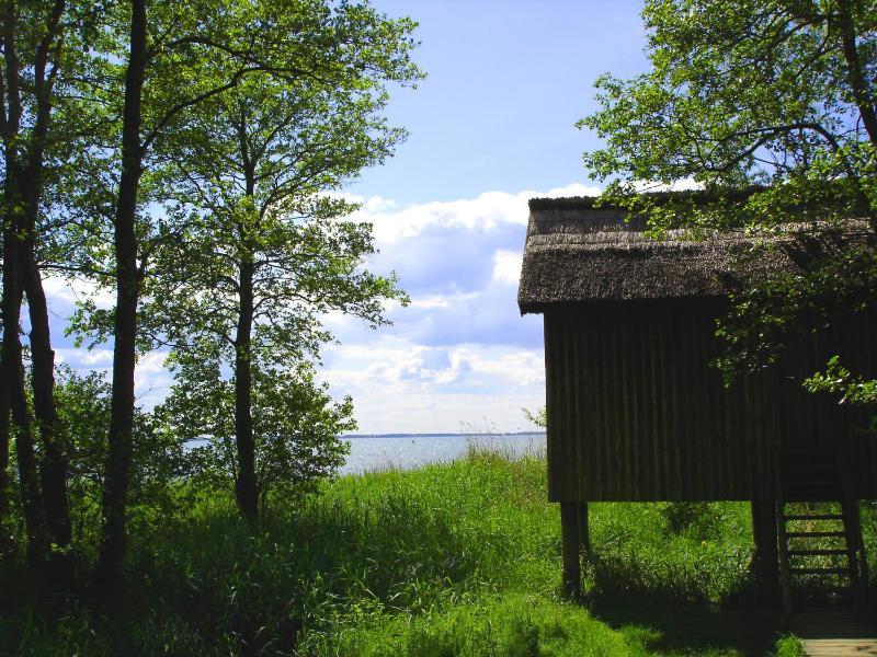 Hotel Müritz-Park - image 6
