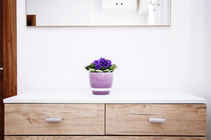 Apartment Anica - image 1