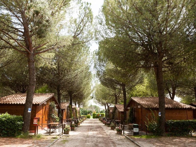 Green Village Assisi - image 14