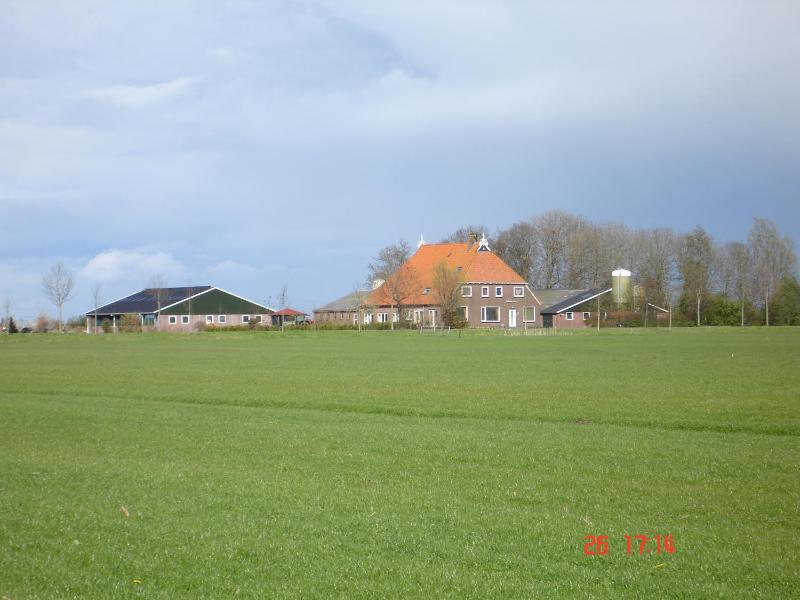 Double Room with Terrace image 3