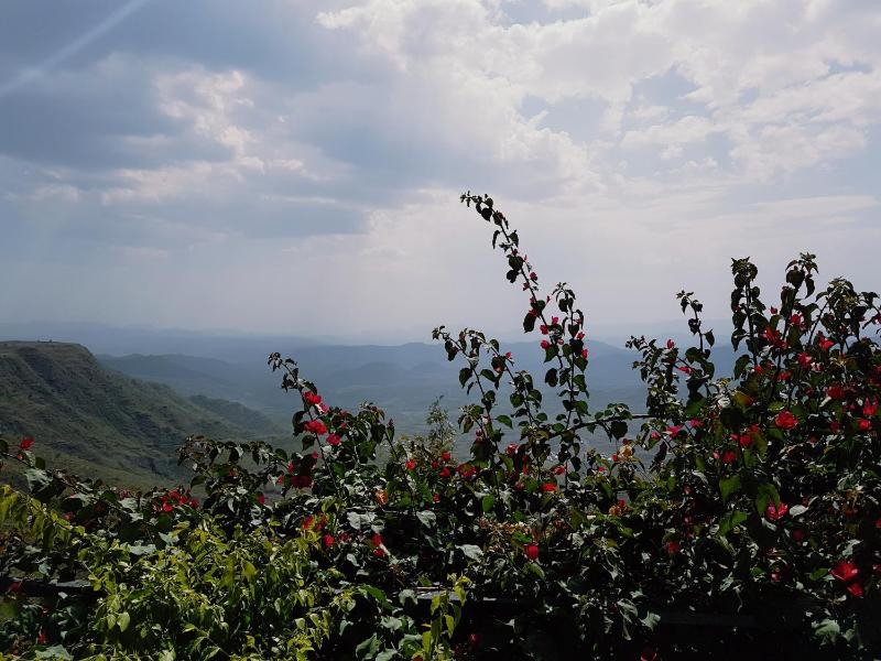 Top Twelve Hotel - Lalibela - image 9