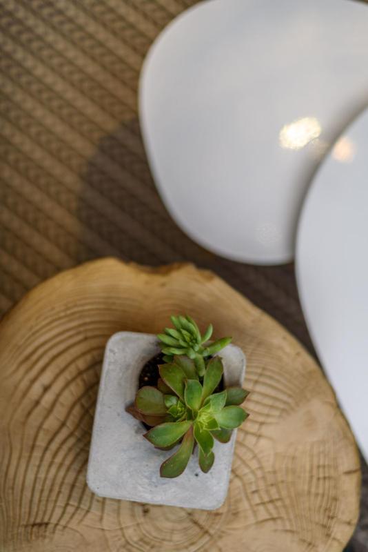 Idolio Suite - image 7
