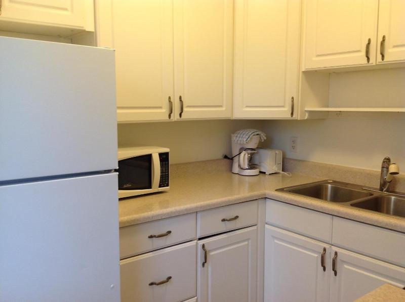 Larger One Bedroom Suite image 4