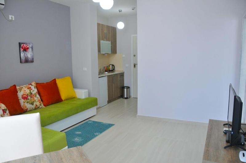 Ambassador & Ambassador Lux Apartments - image 8