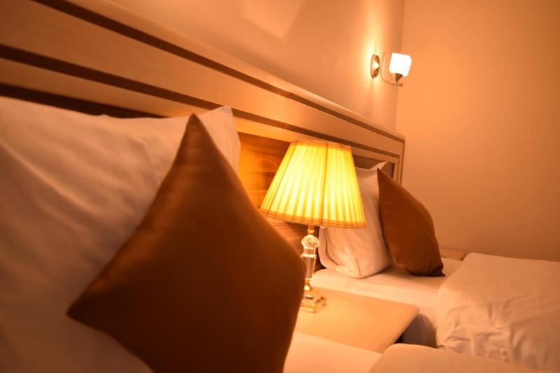 Standard Twin Room image 1