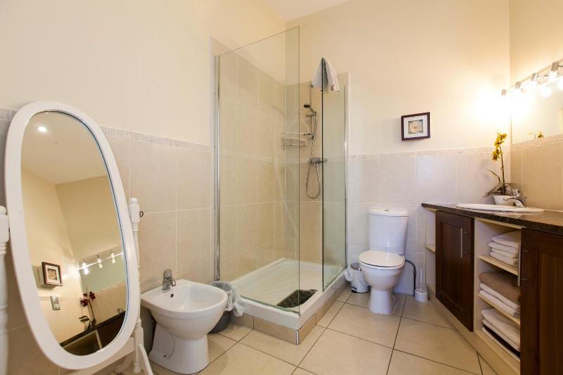 Dublin Vacation Rentals - image 10