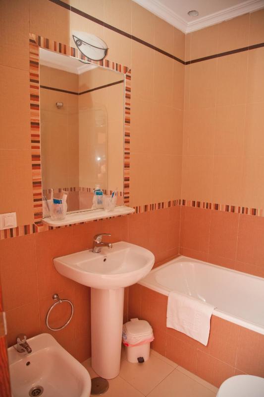 Double or Twin Room image 4