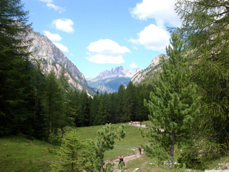 Single Room with Mountain View image 4