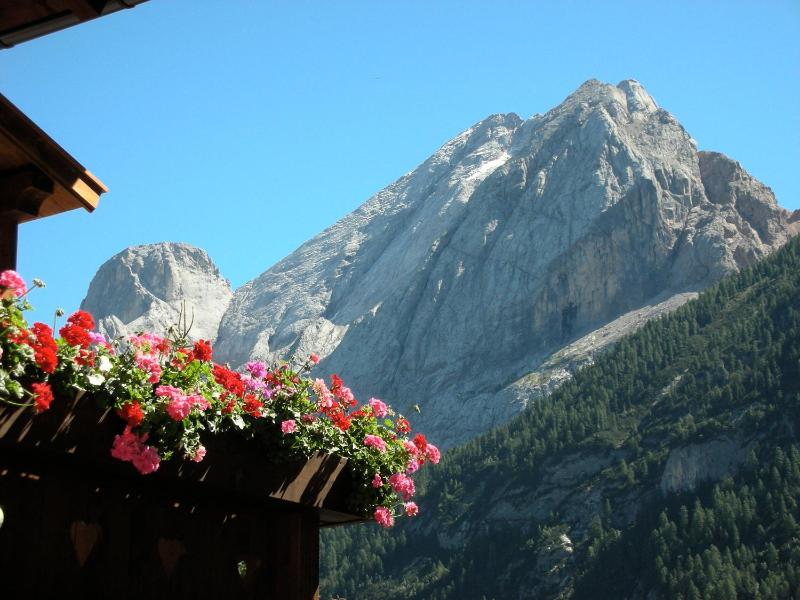Single Room with Mountain View image 3