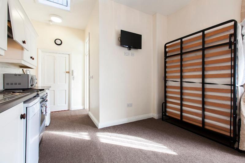 Dublin Vacation Rentals - image 15