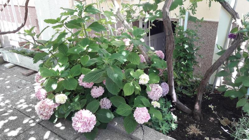 Apartment GoodMood - image 13