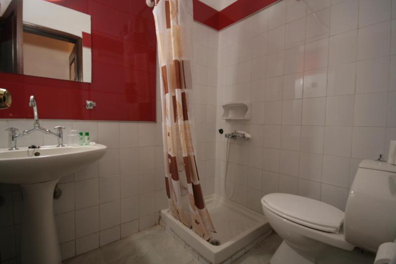 Standard Double or Twin Room image 3