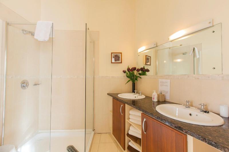 Dublin Vacation Rentals - image 8